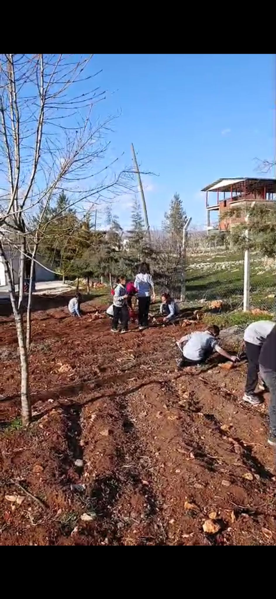 Proje